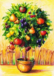 Fruit tree small